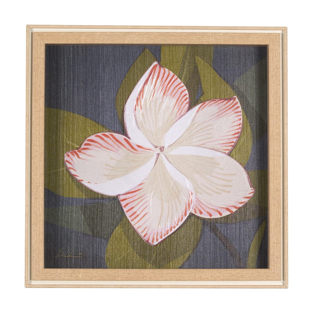Mercana - Flower Portrait III FRANGIPANI by Mercana Studio a Hand Embellished Textured Framed Art Print - 15243 view 1