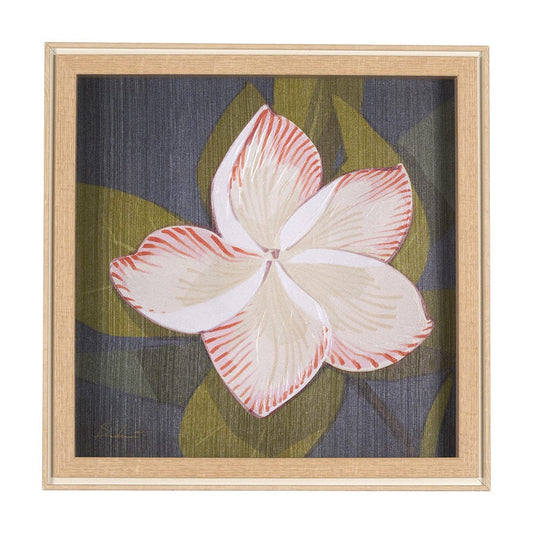 Mercana - Flower Portrait III FRANGIPANI by Mercana Studio a Hand Embellished Textured Framed Art Print - 15243 view 1