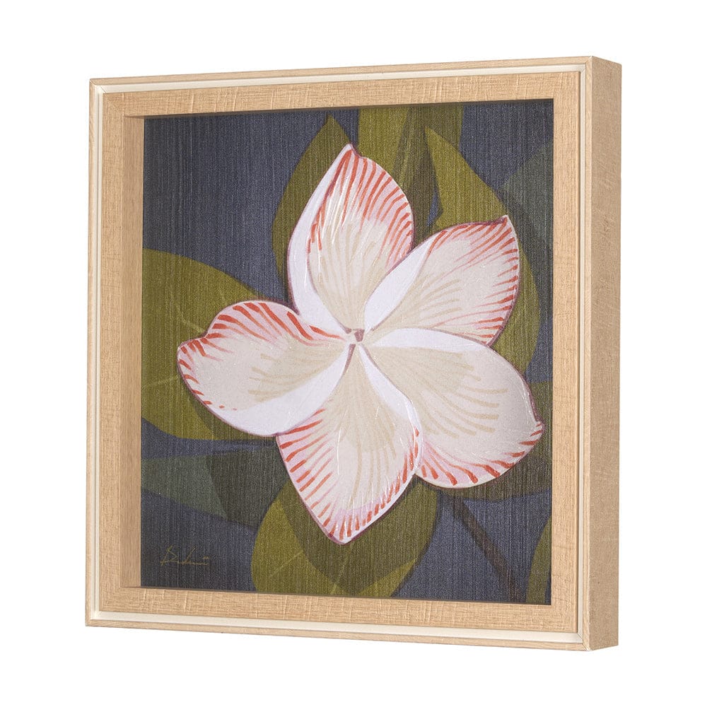 Mercana - Flower Portrait III FRANGIPANI by Mercana Studio a Hand Embellished Textured Framed Art Print - 15243 view 2