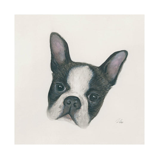 Mercana - Floyd Boston Terrier 1 by Mercana Studio a Hand Embellished Textured Canvas - 101773-L view 1
