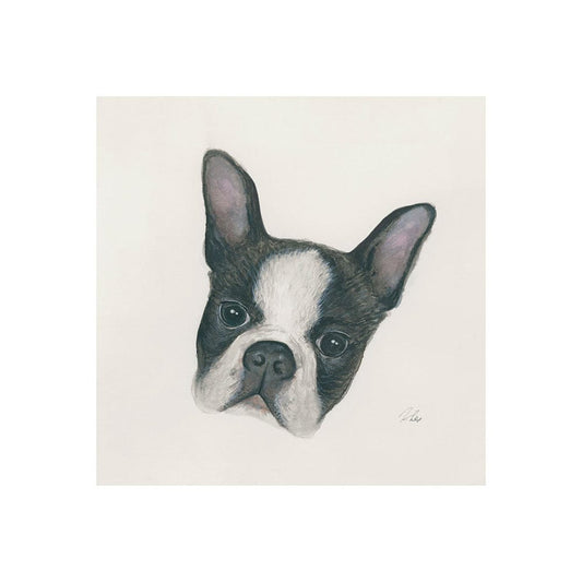 Mercana - Floyd Boston Terrier 1 by Mercana Studio a Hand Embellished Textured Canvas - 101773-S view 1