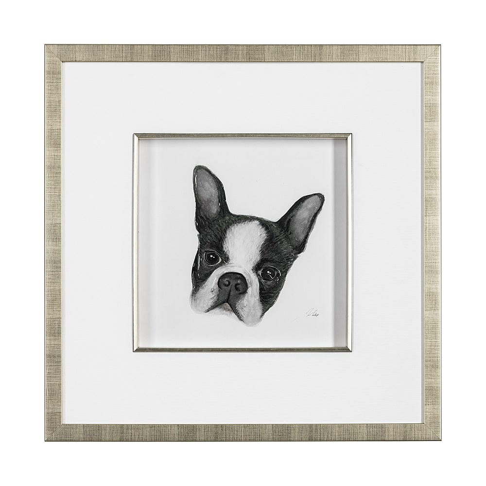 Mercana - Floyd Boston Terrier 1 by Mercana Studio Hand Embellished Framed Art Print Matted under Glass - 13375 view 1