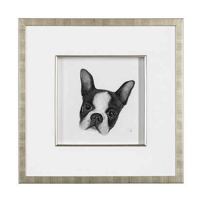 Mercana - Floyd Boston Terrier 1 by Mercana Studio Hand Embellished Framed Art Print Matted under Glass - 13375 view 1