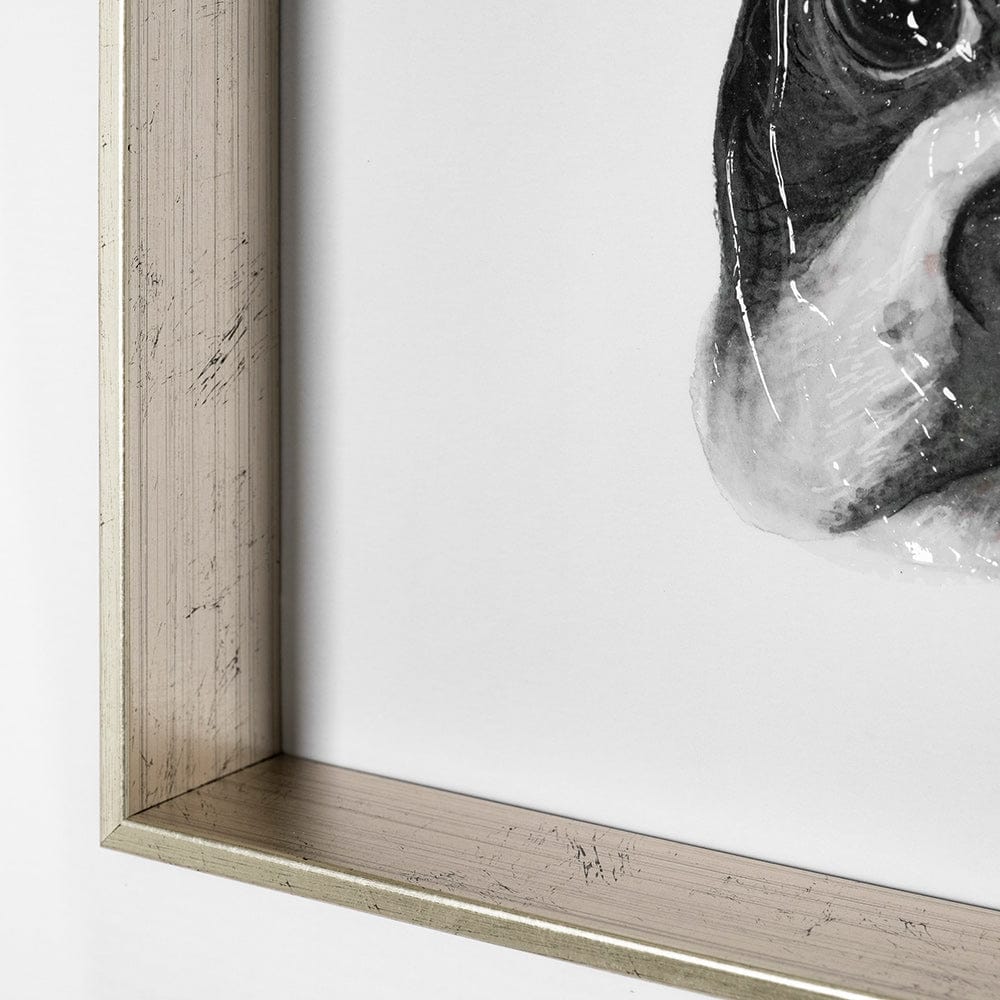 Mercana - Floyd Boston Terrier 1 by Mercana Studio Hand Embellished Framed Art Print Matted under Glass - 13375 view 6