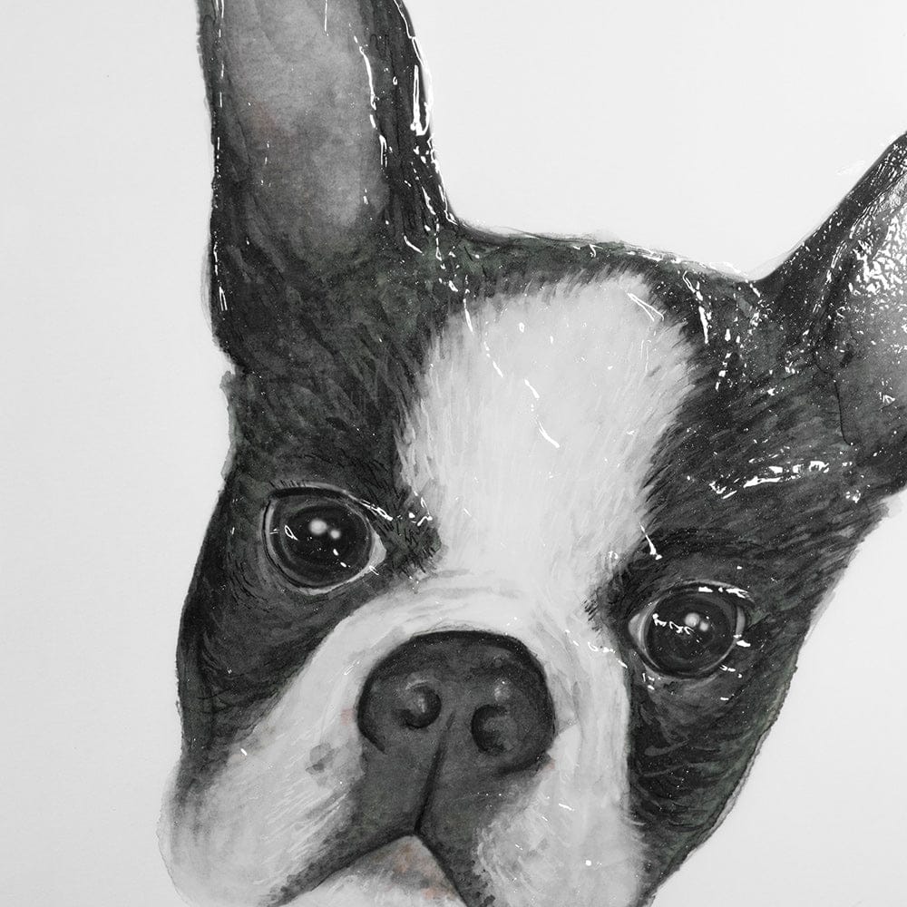 Mercana - Floyd Boston Terrier 1 by Mercana Studio Hand Embellished Framed Art Print Matted under Glass - 13375 view 7