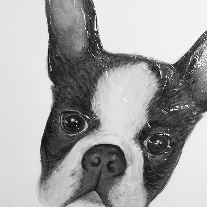 Mercana - Floyd Boston Terrier 1 by Mercana Studio Hand Embellished Framed Art Print Matted under Glass - 13375 view 7