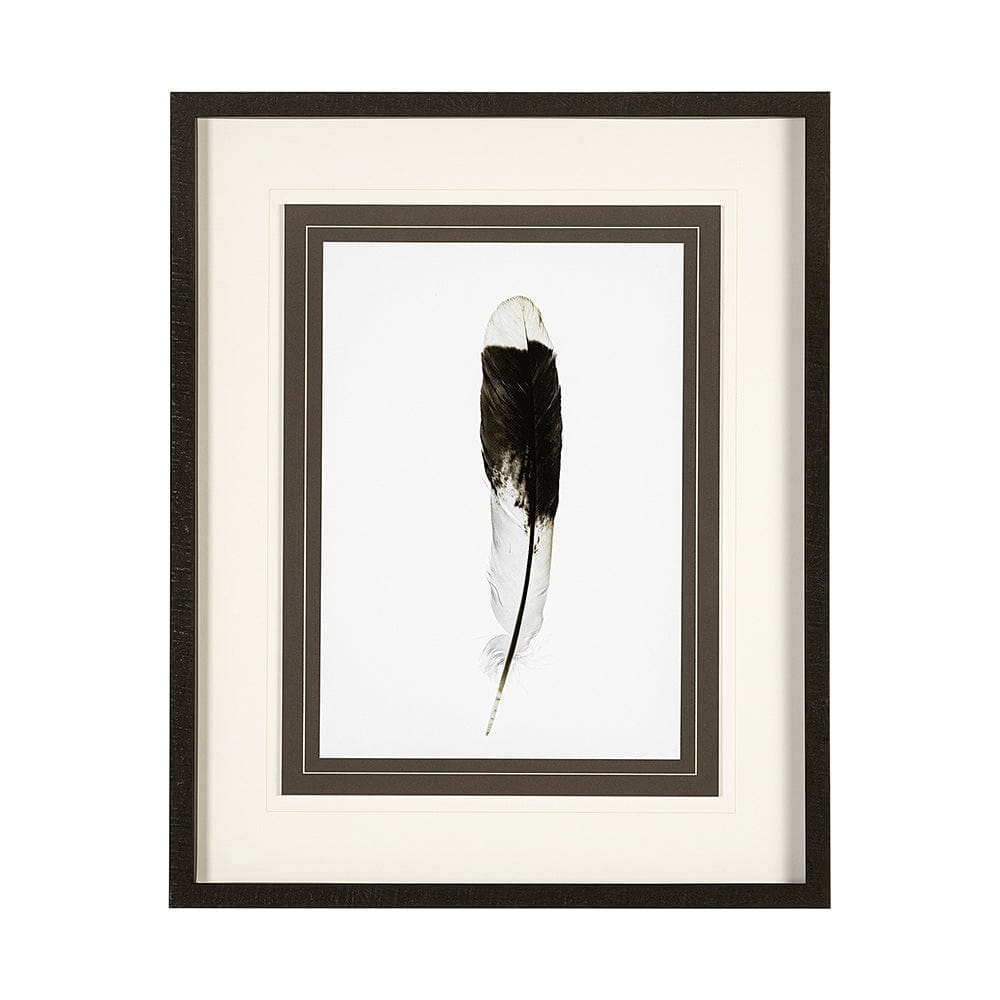 Mercana - Flying solo by Nancy Crowell a Framed Art Print Matted under Glass - 13353 view 1