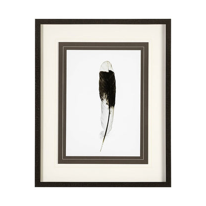 Mercana - Flying solo by Nancy Crowell a Framed Art Print Matted under Glass - 13353 view 1