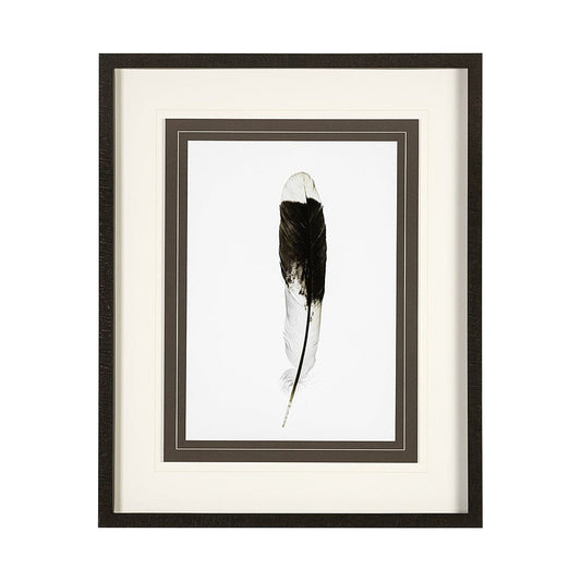 Mercana - Flying solo by Nancy Crowell a Framed Art Print Matted under Glass - 13353 view 1