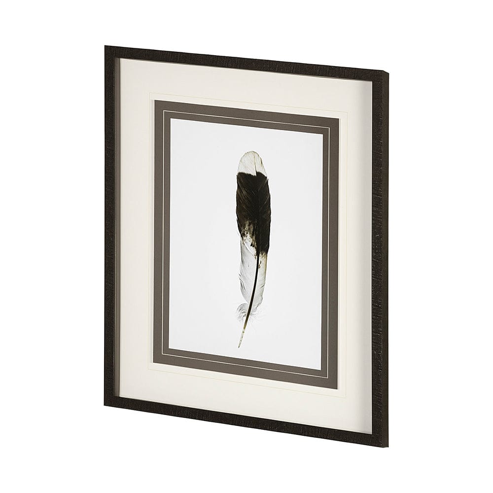 Mercana - Flying solo by Nancy Crowell a Framed Art Print Matted under Glass - 13353 view 2