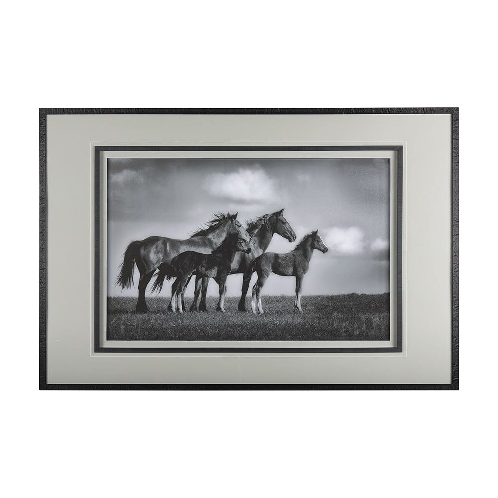 Mercana - Focused by Mercana Studio a Framed Art Print Matted under Glass - 14635 view 1