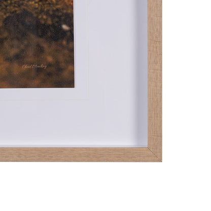 Mercana - Fogo Island by Chad Mackay a Hand Embellished Framed Art Print Matted under Glass - 15580 view 3