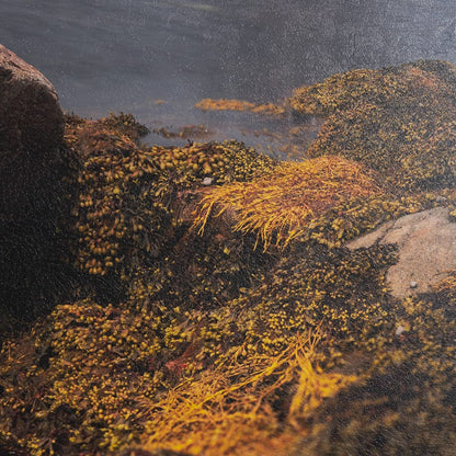 Mercana - Fogo Island by Chad Mackay a Hand Embellished Framed Art Print Matted under Glass - 15580 view 6