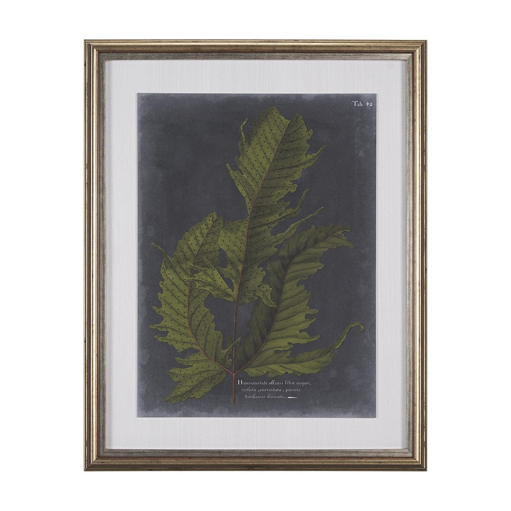 Mercana - Foliage Dramatique I by Vision Studio Hand Embellished Textured Framed Art Print Matted under Glass - 10132 view 1