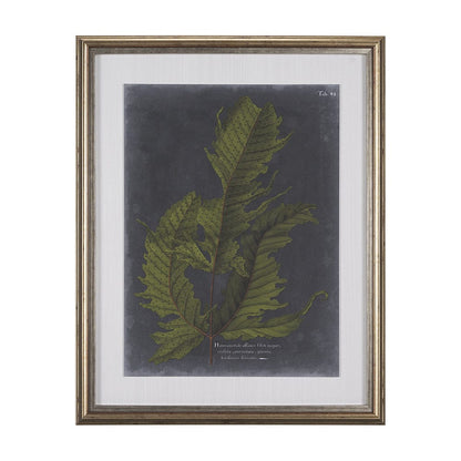 Mercana - Foliage Dramatique I by Vision Studio Hand Embellished Textured Framed Art Print Matted under Glass - 10132 view 1