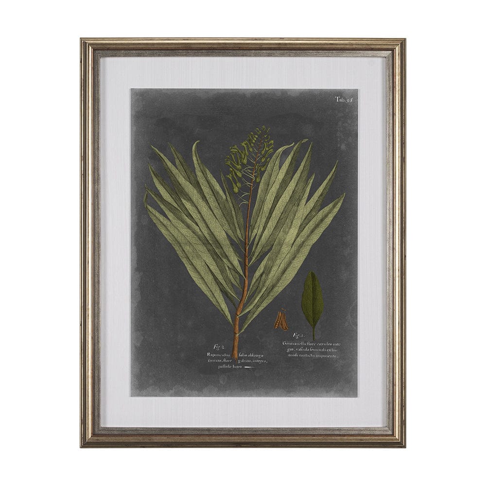 Mercana - Foliage Dramatique II by Vision Studio Hand Embellished Textured Framed Art Print Matted under Glass - 10133 view 1