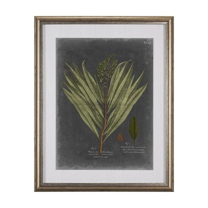Mercana - Foliage Dramatique II by Vision Studio Hand Embellished Textured Framed Art Print Matted under Glass - 10133 view 1