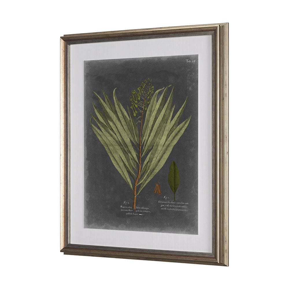Mercana - Foliage Dramatique II by Vision Studio Hand Embellished Textured Framed Art Print Matted under Glass - 10133 view 3
