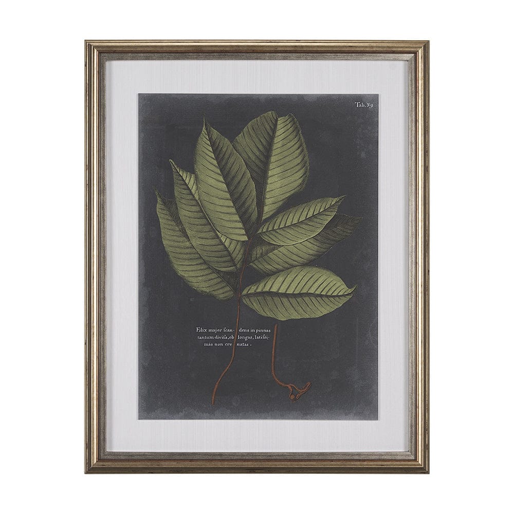 Mercana - Foliage Dramatique III by Vision Studio Hand Embellished Textured Framed Art Print Matted under Glas - 10134 view 1
