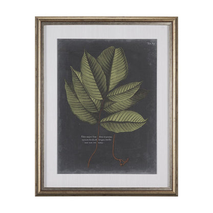 Mercana - Foliage Dramatique III by Vision Studio Hand Embellished Textured Framed Art Print Matted under Glas - 10134 view 1