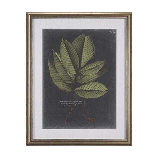 Mercana - Foliage Dramatique III by Vision Studio Hand Embellished Textured Framed Art Print Matted under Glas - 10134 view 1