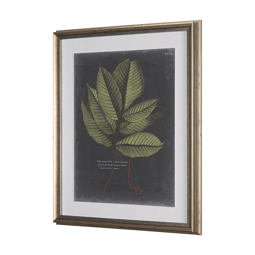 Mercana - Foliage Dramatique III by Vision Studio Hand Embellished Textured Framed Art Print Matted under Glas - 10134 view 3