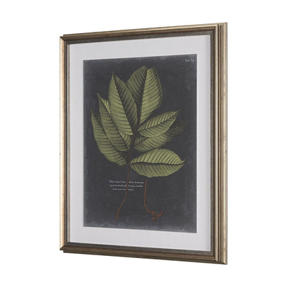 Mercana - Foliage Dramatique III by Vision Studio Hand Embellished Textured Framed Art Print Matted under Glas - 10134 view 3