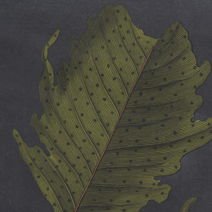 Mercana - Foliage Dramatique III by Vision Studio Hand Embellished Textured Framed Art Print Matted under Glas - 10134 view 7