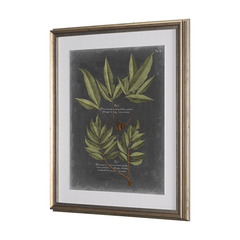 Mercana - Foliage Dramatique IV by Vision Studio Hand Embellished Textured Framed Art Print Matted under Glass - 10135 view 3