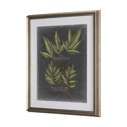 Mercana - Foliage Dramatique IV by Vision Studio Hand Embellished Textured Framed Art Print Matted under Glass - 10135 view 3
