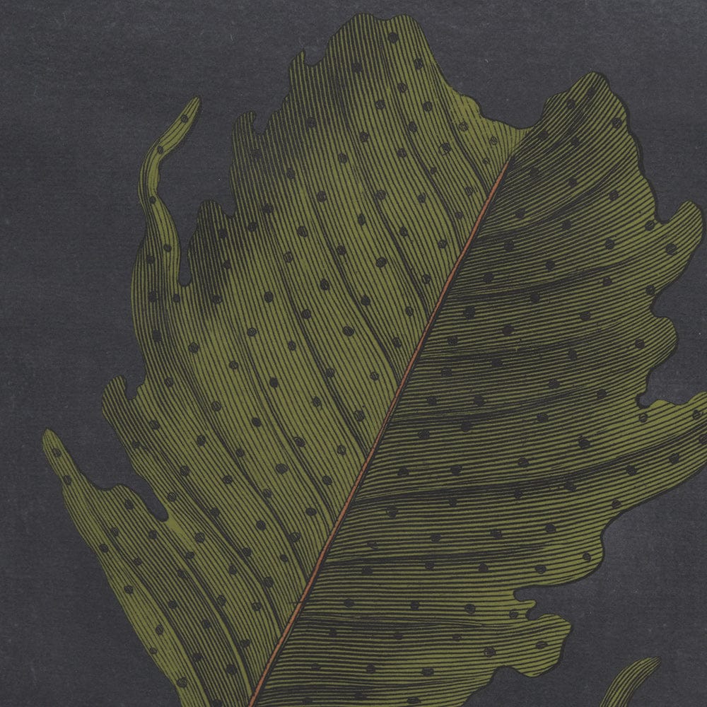 Mercana - Foliage Dramatique IV by Vision Studio Hand Embellished Textured Framed Art Print Matted under Glass - 10135 view 7