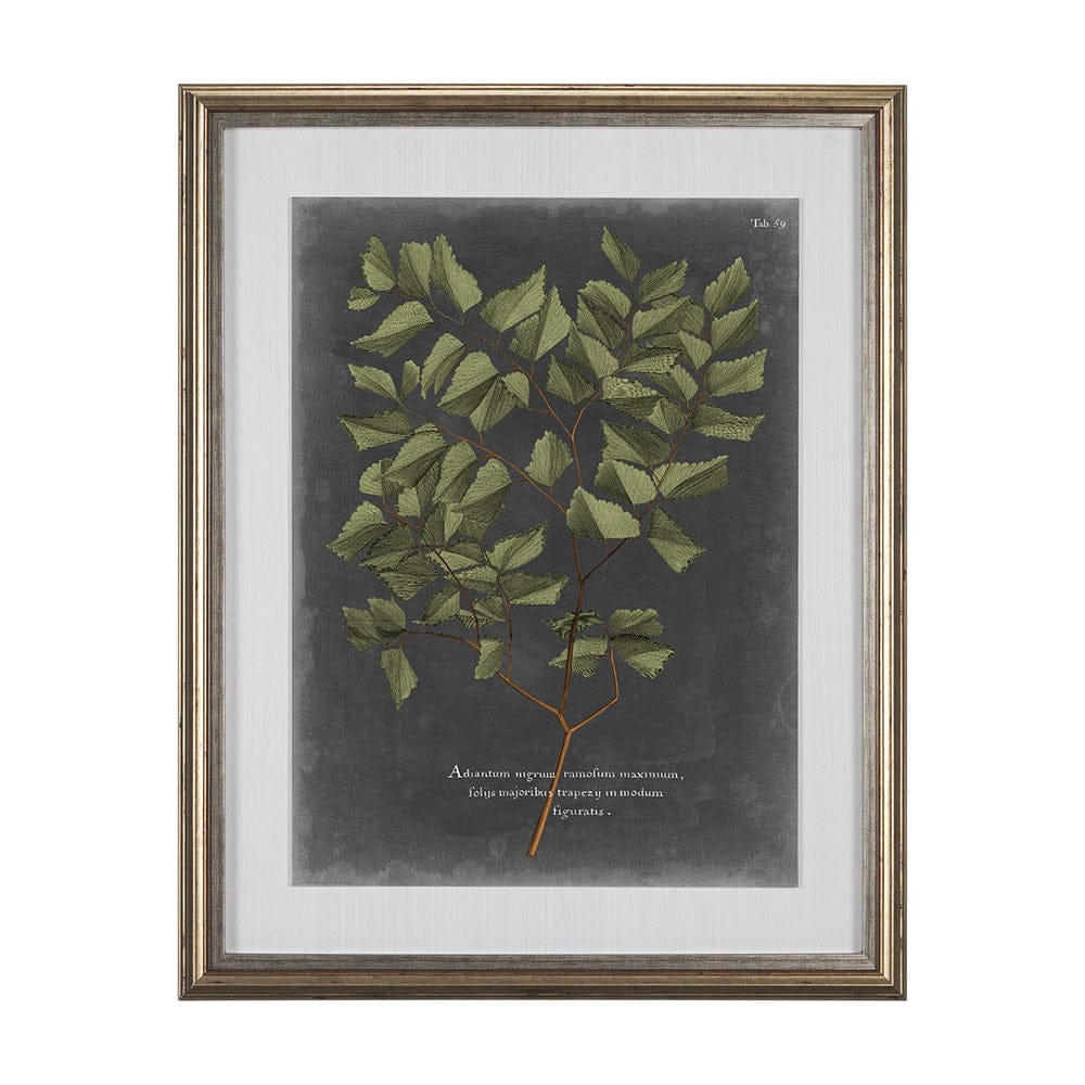 Mercana - Foliage Dramatique V by Vision Studio Hand Embellished Textured Framed Art Print Matted under Glass - 10136 view 1