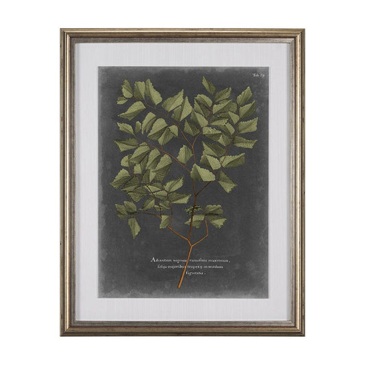 Mercana - Foliage Dramatique V by Vision Studio Hand Embellished Textured Framed Art Print Matted under Glass - 10136 view 1