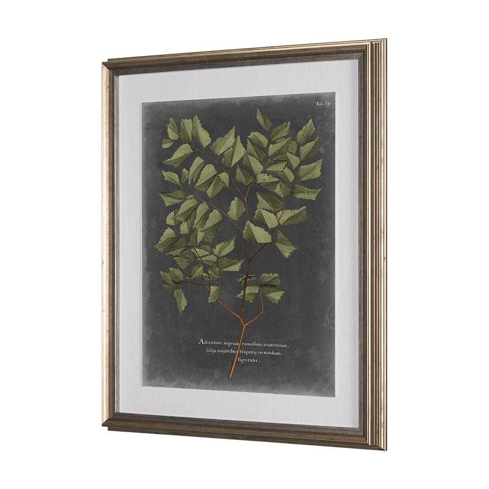 Mercana - Foliage Dramatique V by Vision Studio Hand Embellished Textured Framed Art Print Matted under Glass - 10136 view 3