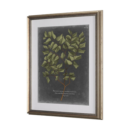 Mercana - Foliage Dramatique V by Vision Studio Hand Embellished Textured Framed Art Print Matted under Glass - 10136 view 3