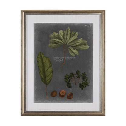 Mercana - Foliage Dramatique VI by Vision Studio Hand Embellished Textured Framed Art Print Matted under Glass - 10137 view 1