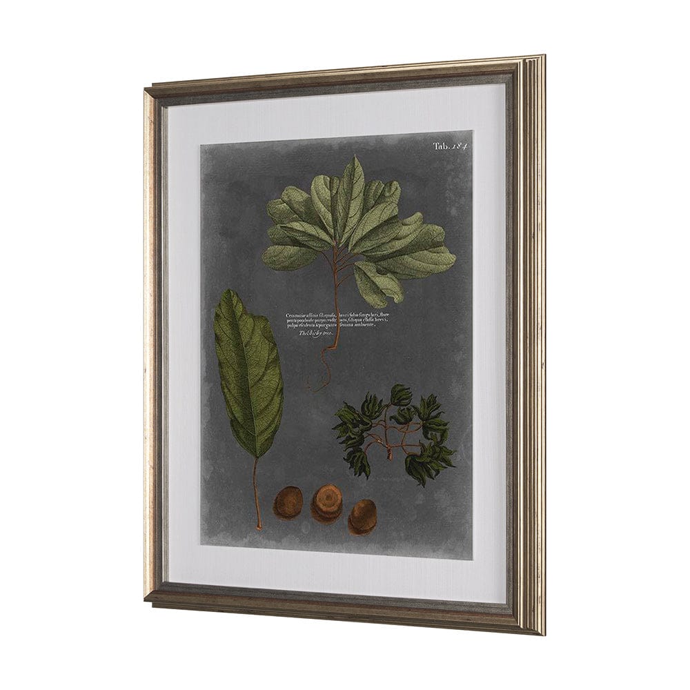 Mercana - Foliage Dramatique VI by Vision Studio Hand Embellished Textured Framed Art Print Matted under Glass - 10137 view 3