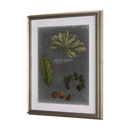 Mercana - Foliage Dramatique VI by Vision Studio Hand Embellished Textured Framed Art Print Matted under Glass - 10137 view 3