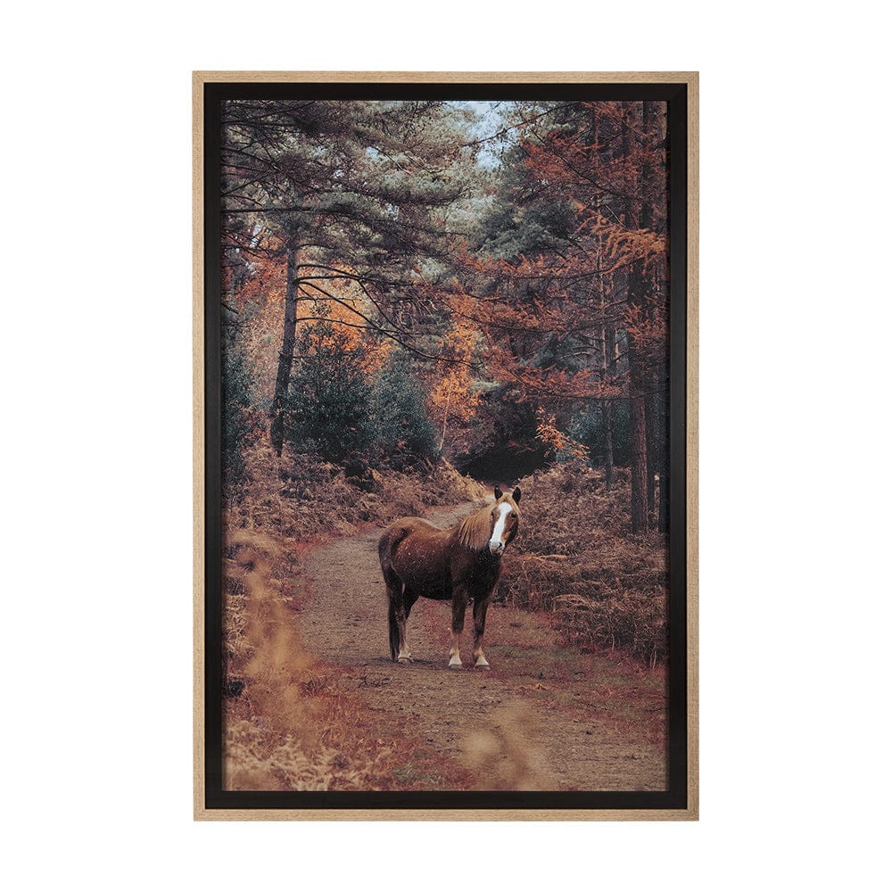Mercana - Forest Crossing by Mercana Studio a Hand Embellished Textured Framed Art Print Matted under Glass - 14781 view 1