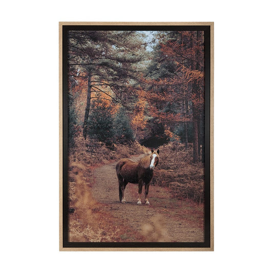 Mercana - Forest Crossing by Mercana Studio a Hand Embellished Textured Framed Art Print Matted under Glass - 14781 view 1