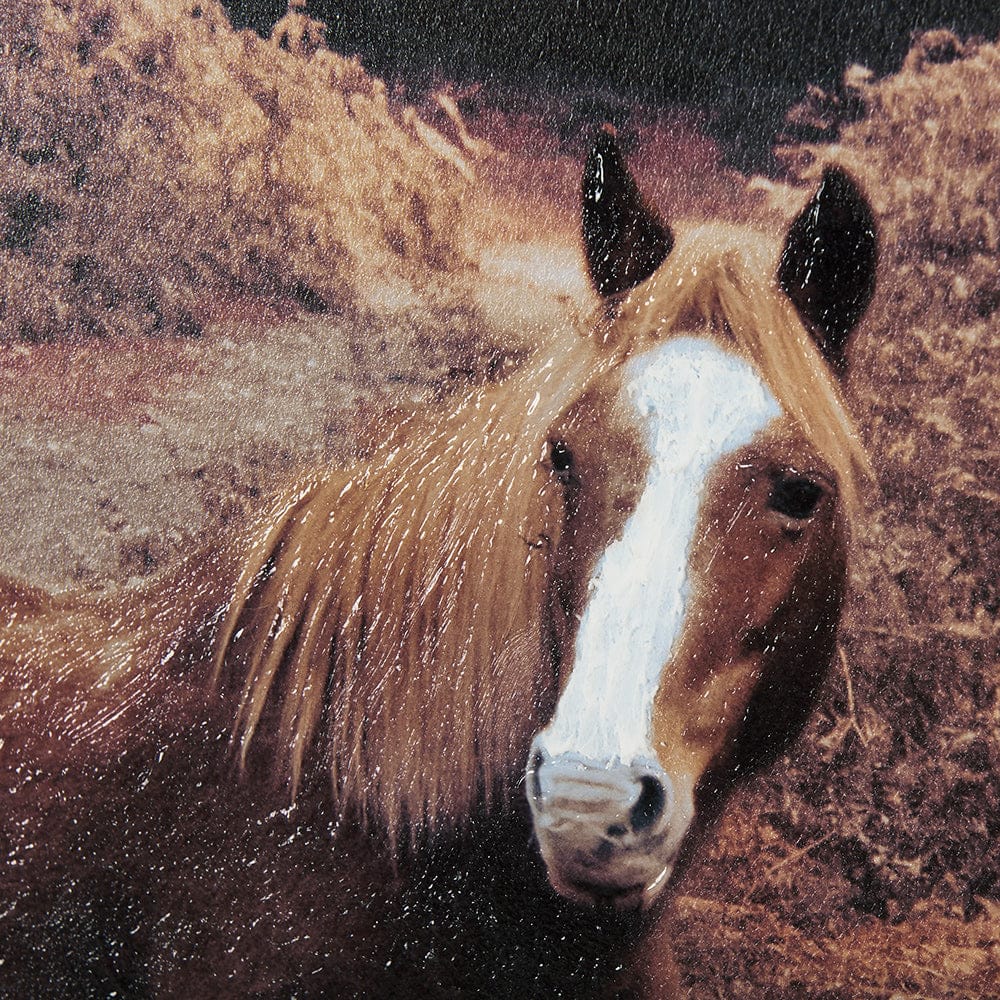 Mercana - Forest Crossing by Mercana Studio a Hand Embellished Textured Framed Art Print Matted under Glass - 14781 view 6