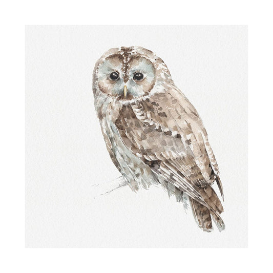 Mercana - Forest Friends IX Owl by Lisa Audit a Hand Embellished Textured Canvas - 101584-L view 1