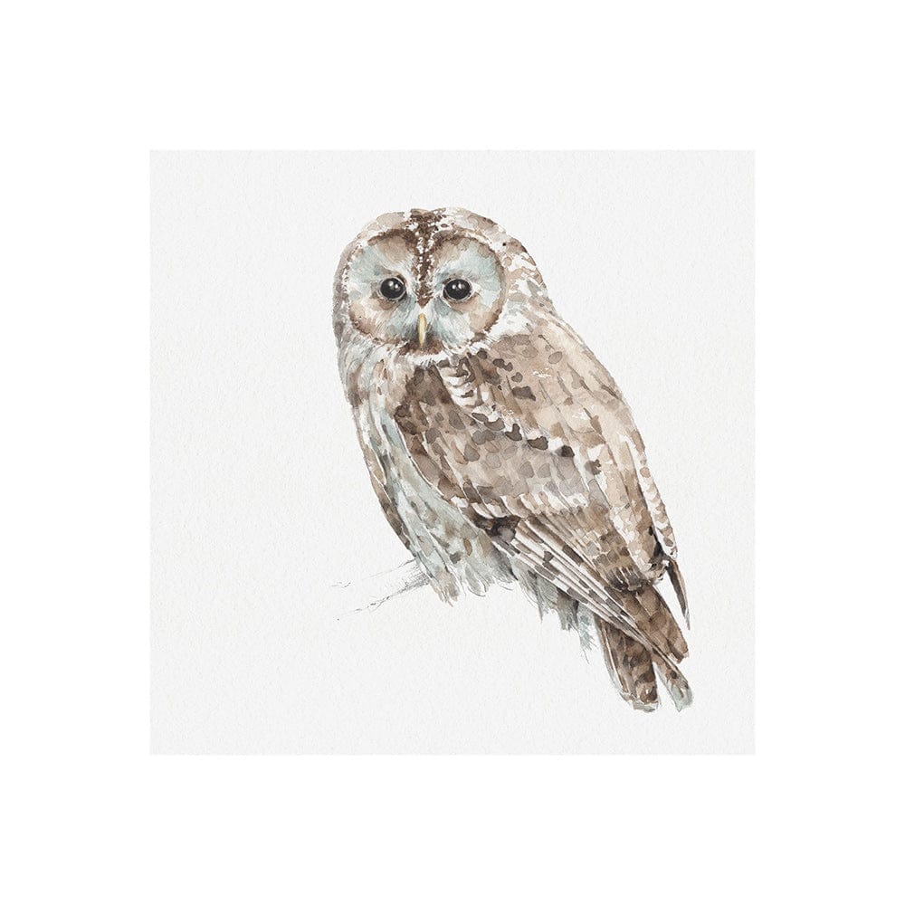 Mercana - Forest Friends IX Owl by Lisa Audit a Hand Embellished Textured Canvas - 101584-S view 1