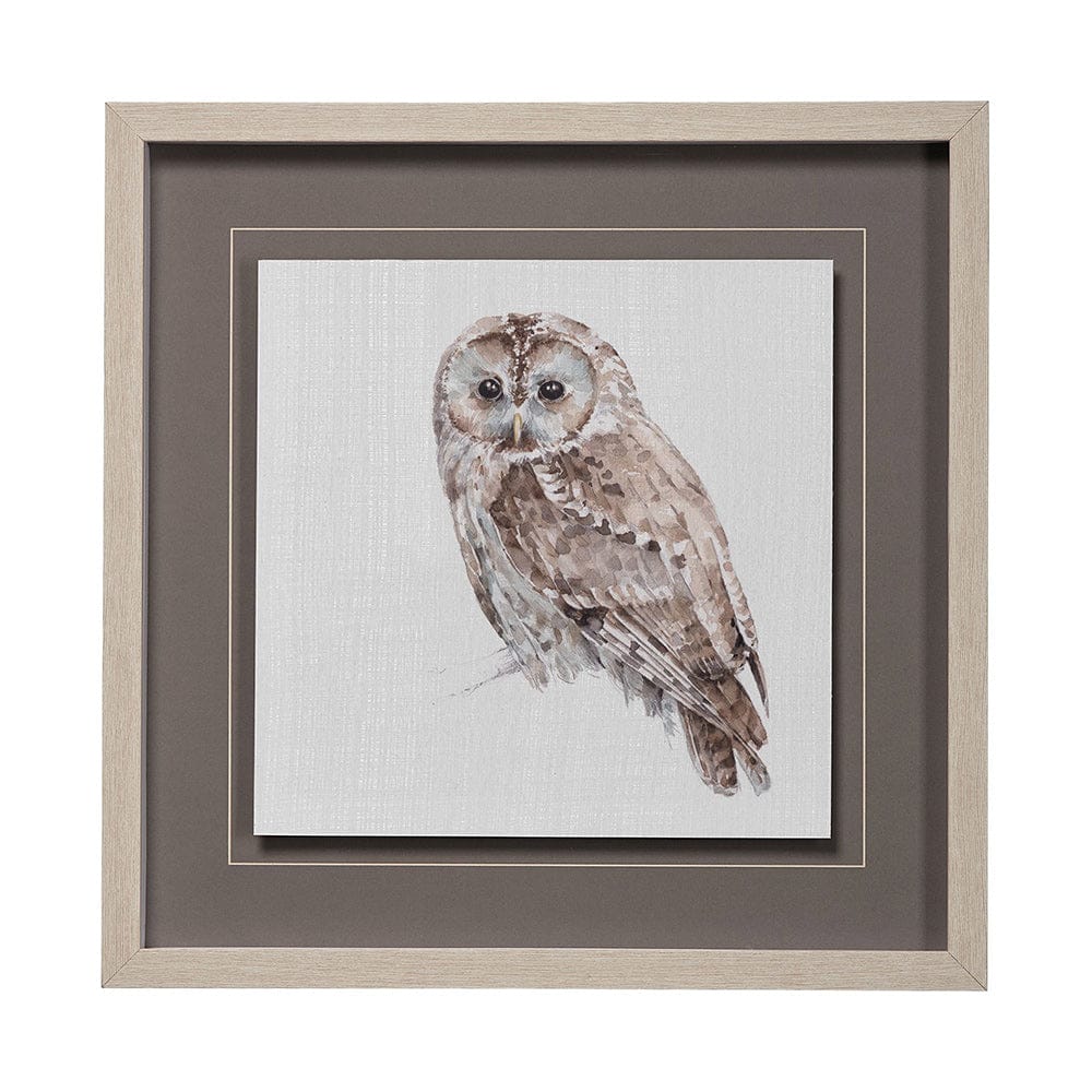 Mercana - Forest Friends IX Owl by Lisa Audit Hand Embellished Textured Framed Art Print Matted under Glass - 13063 view 1