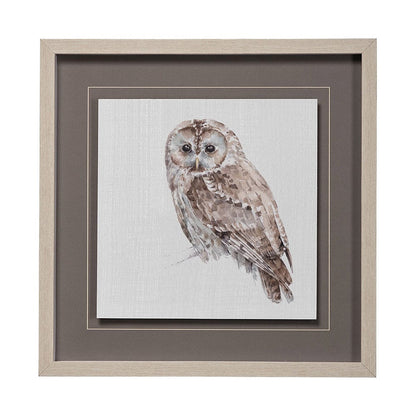 Mercana - Forest Friends IX Owl by Lisa Audit Hand Embellished Textured Framed Art Print Matted under Glass - 13063 view 1