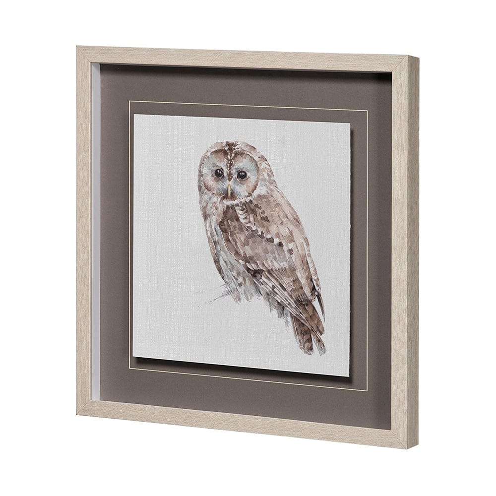 Mercana - Forest Friends IX Owl by Lisa Audit Hand Embellished Textured Framed Art Print Matted under Glass - 13063 view 2