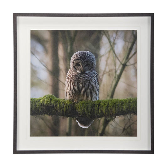 Mercana - Forest Owl by Chad Mackay a Hand Embellished Textured Framed Art Print Matted under Glass - 14365 view 1