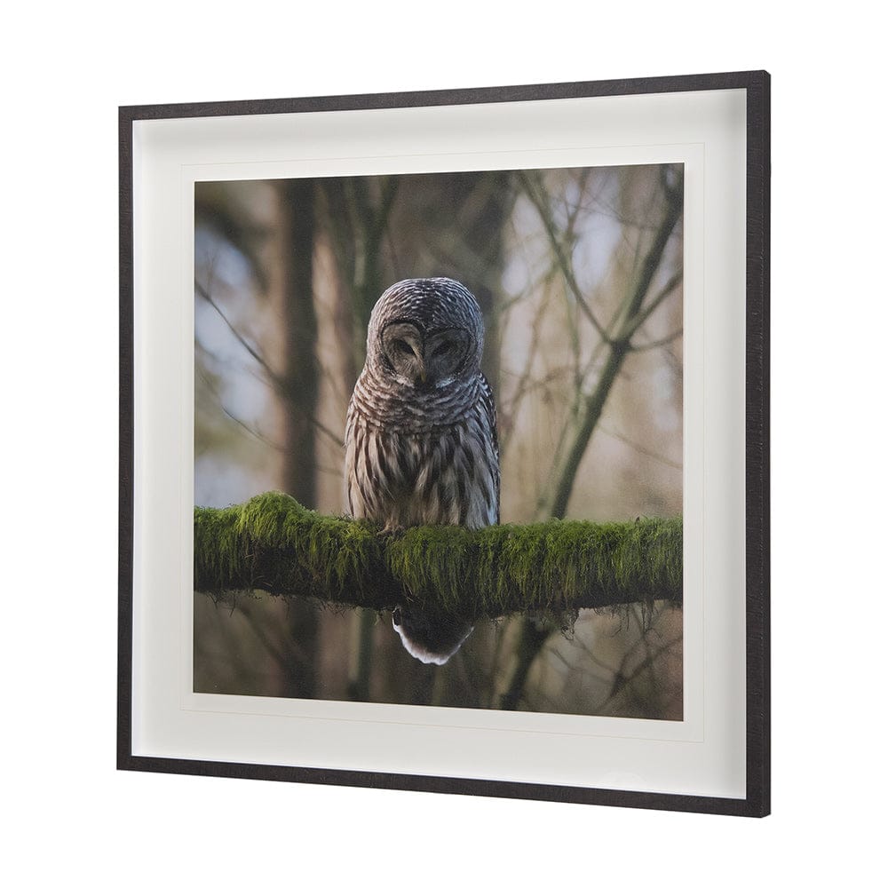 Mercana - Forest Owl by Chad Mackay a Hand Embellished Textured Framed Art Print Matted under Glass - 14365 view 2