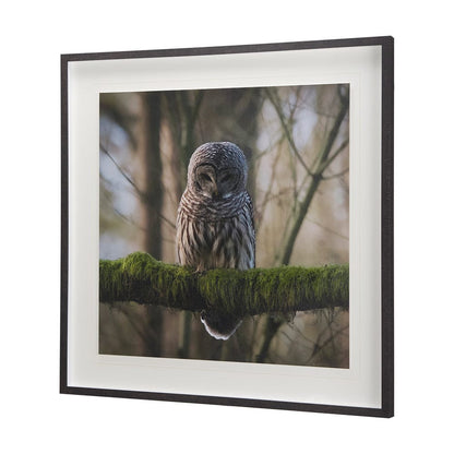 Mercana - Forest Owl by Chad Mackay a Hand Embellished Textured Framed Art Print Matted under Glass - 14365 view 2