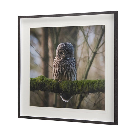 Mercana - Forest Owl by Chad Mackay a Hand Embellished Textured Framed Art Print Matted under Glass - 14365 view 2
